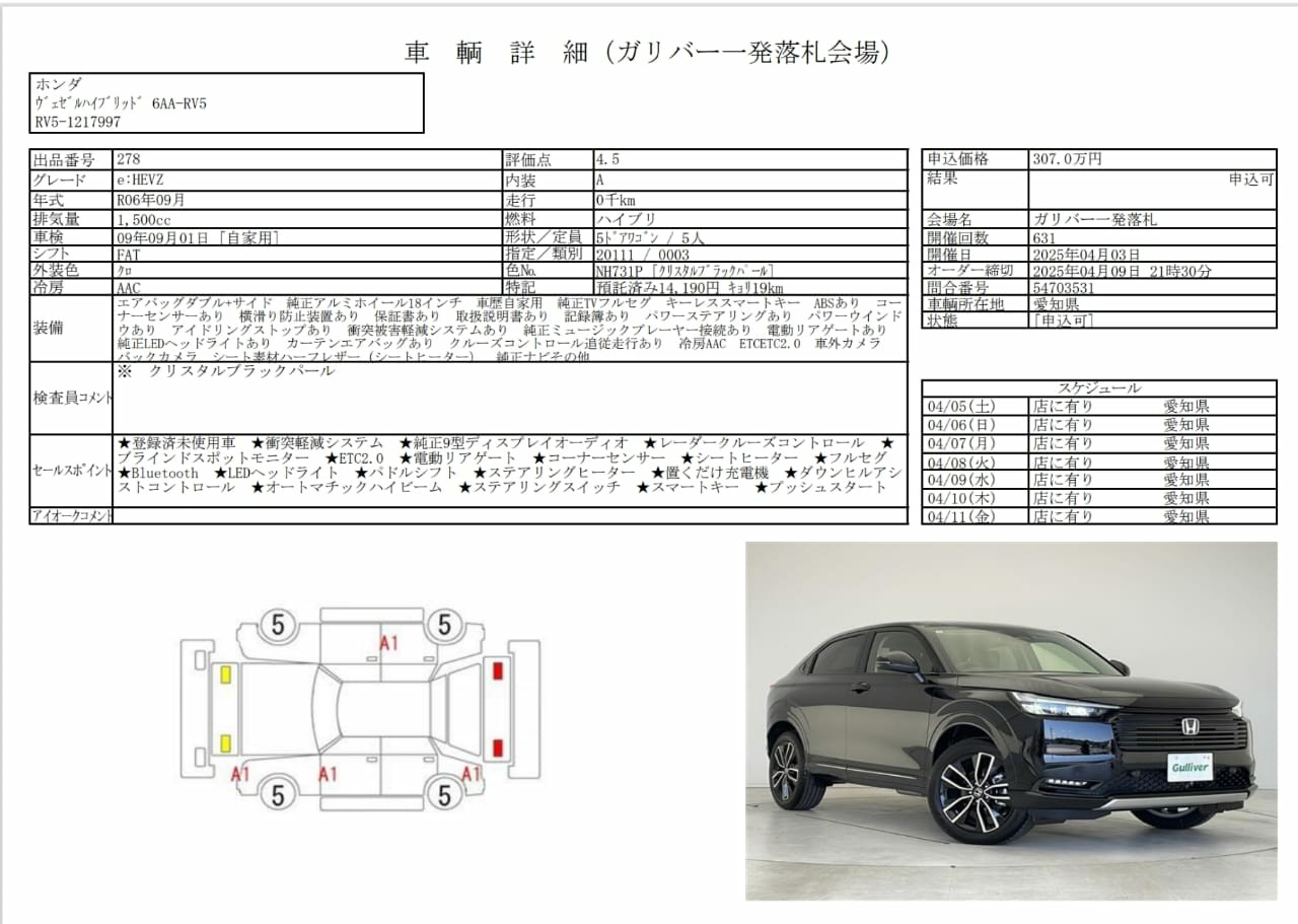 Option Certificate